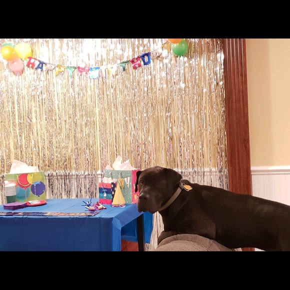 Meet your Posher, Genesis - Picture 1 of 1